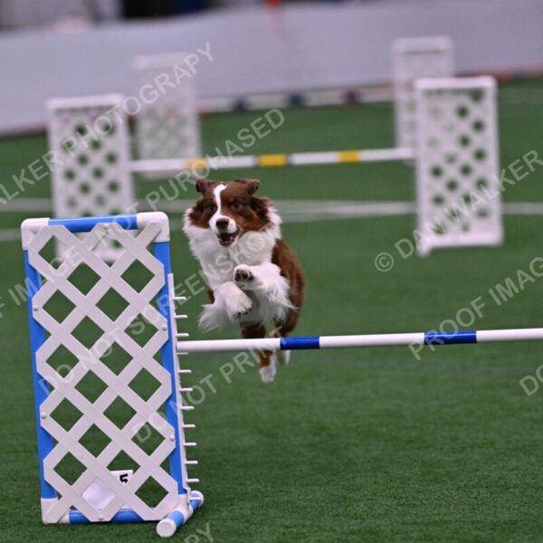 Reece-Kelly-Warner-04690