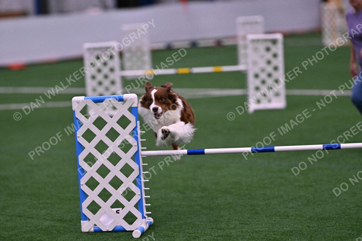 Reece-Kelly-Warner-04691