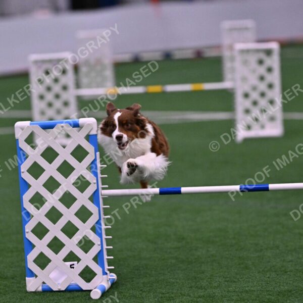 Reece-Kelly-Warner-04691