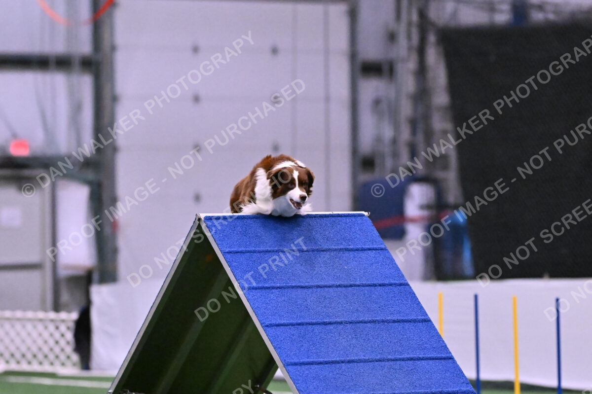 Reece-Kelly-Warner-04702