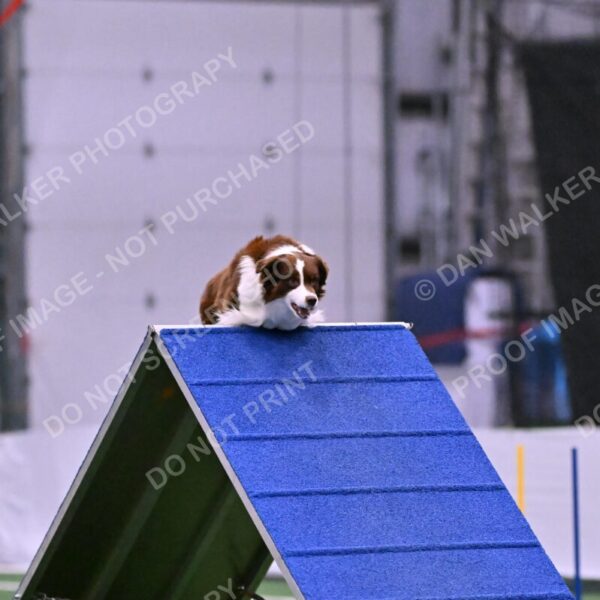 Reece-Kelly-Warner-04702