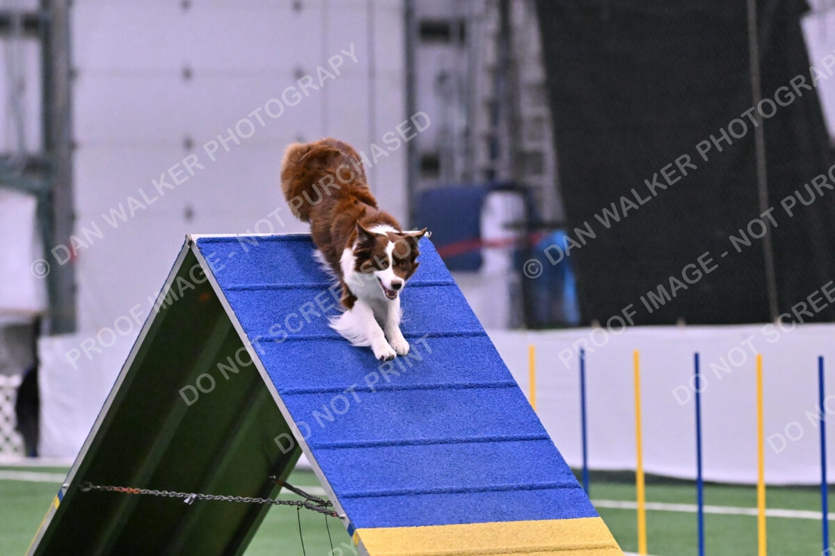 Reece-Kelly-Warner-04704