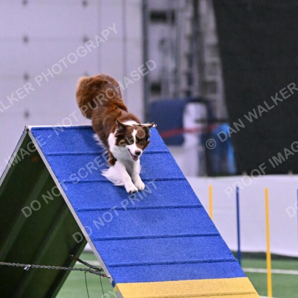 Reece-Kelly-Warner-04704