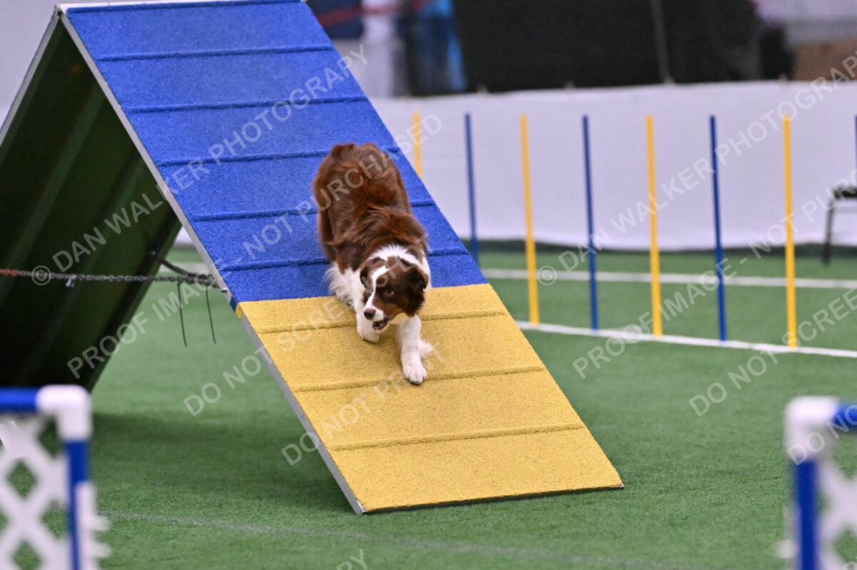 Reece-Kelly-Warner-04708