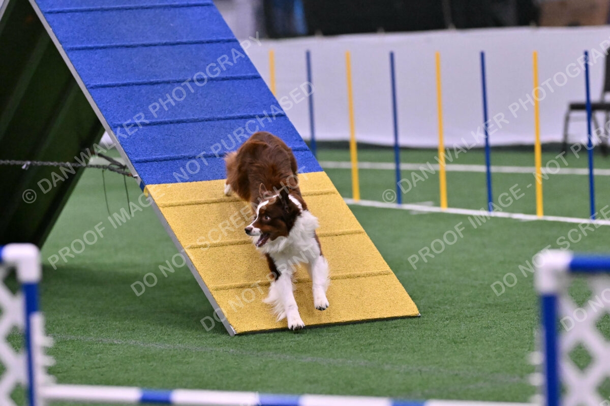 Reece-Kelly-Warner-04711