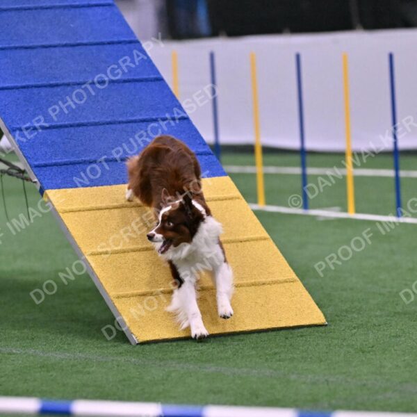 Reece-Kelly-Warner-04711