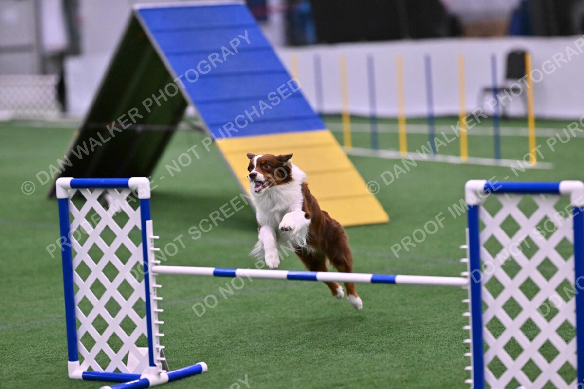 Reece-Kelly-Warner-04712