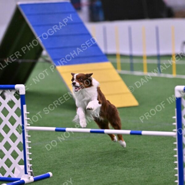 Reece-Kelly-Warner-04712