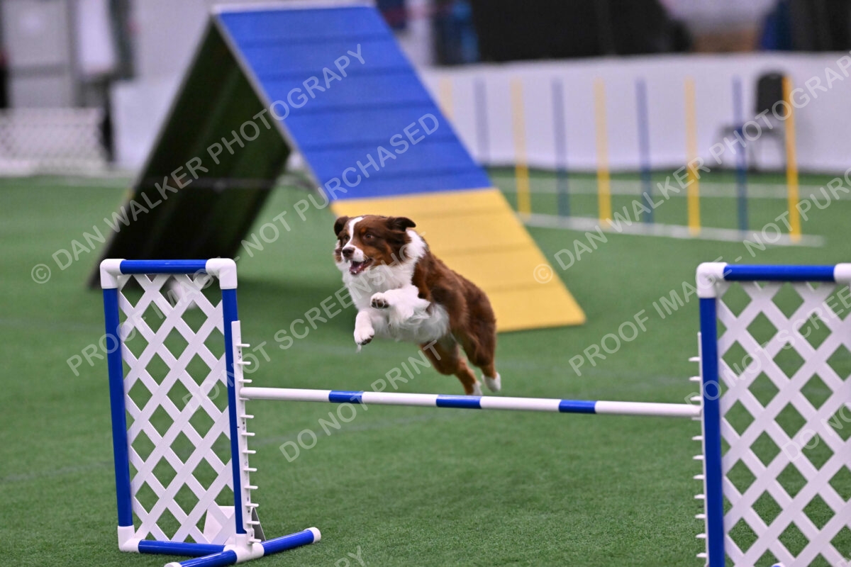 Reece-Kelly-Warner-04713
