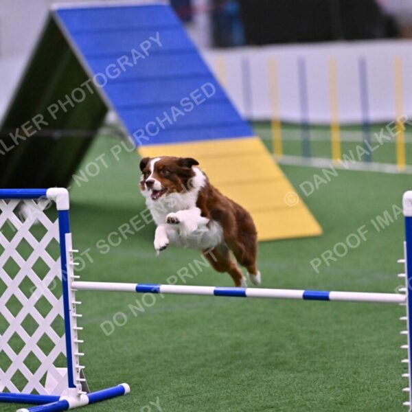 Reece-Kelly-Warner-04713