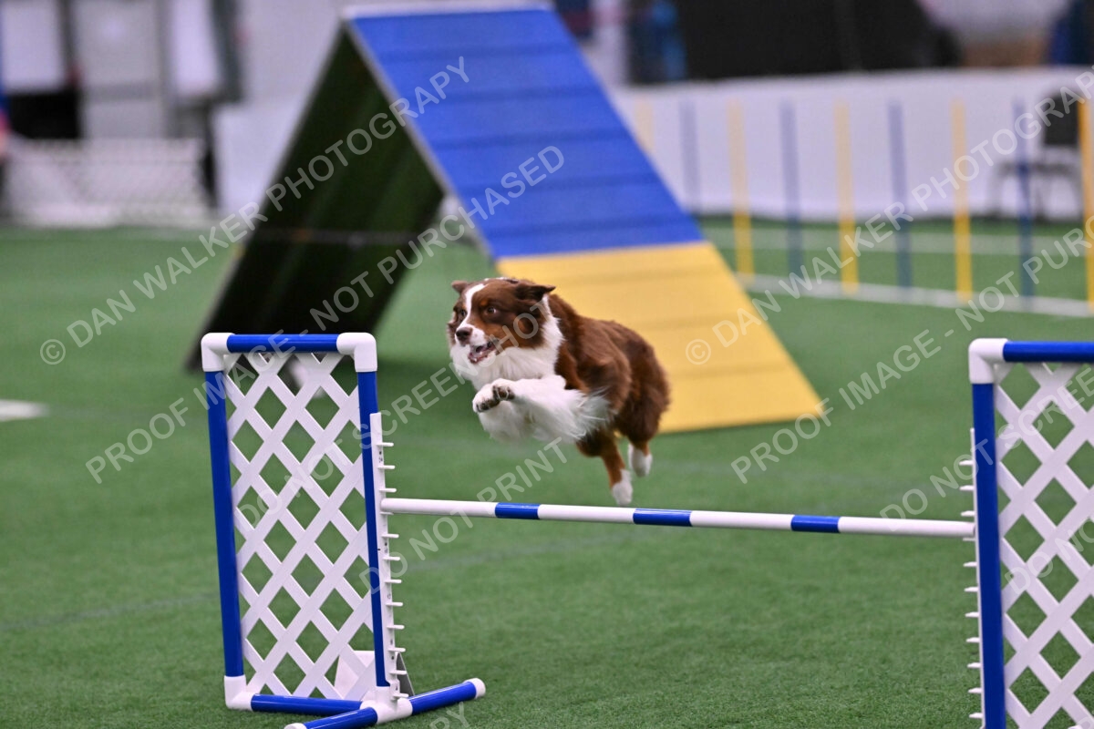 Reece-Kelly-Warner-04714