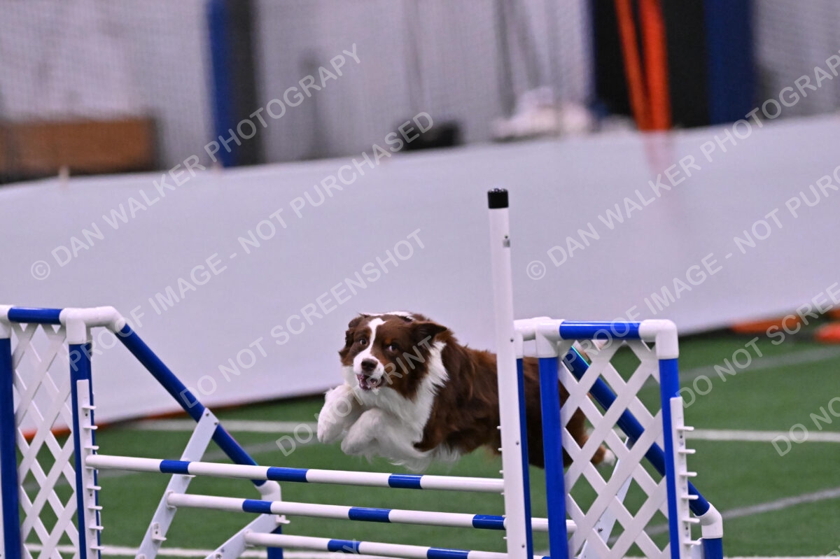 Reece-Kelly-Warner-04720