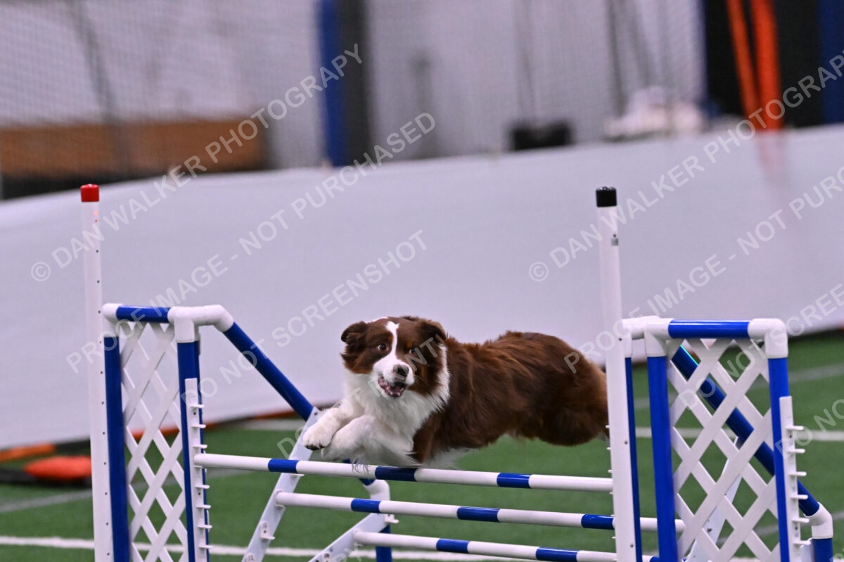 Reece-Kelly-Warner-04721