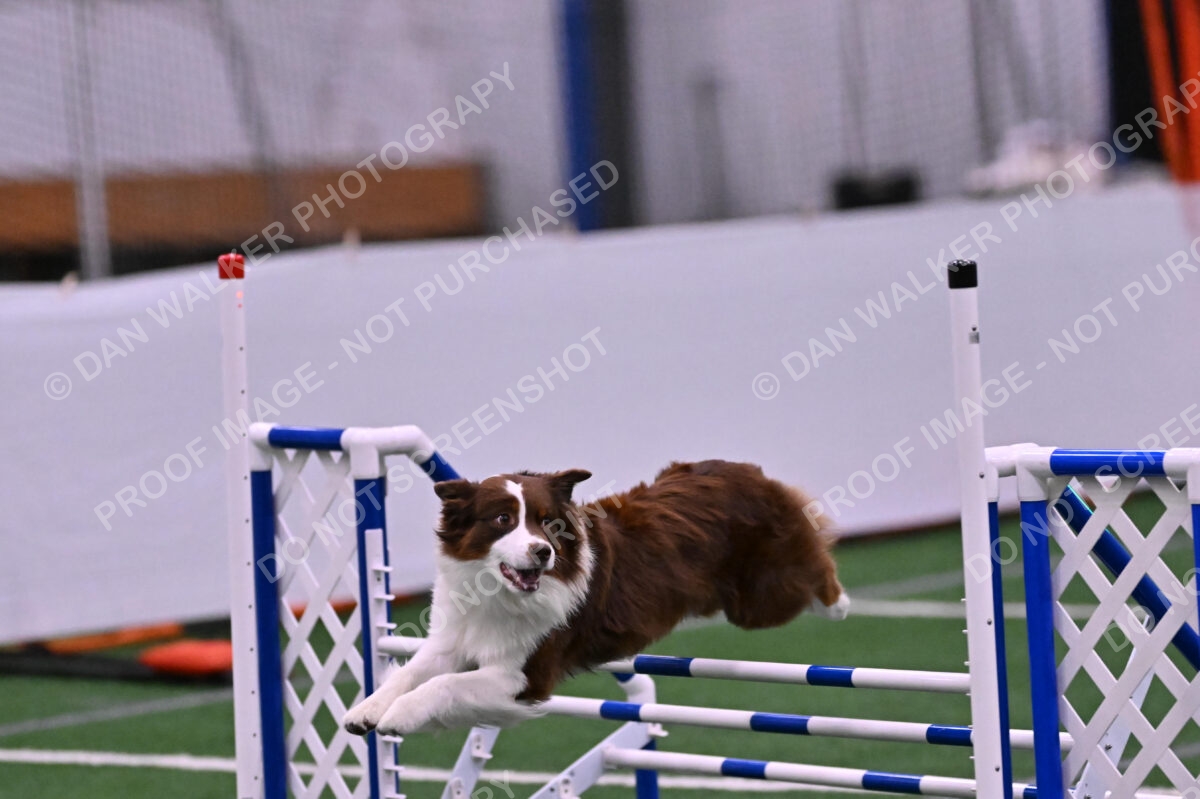 Reece-Kelly-Warner-04722
