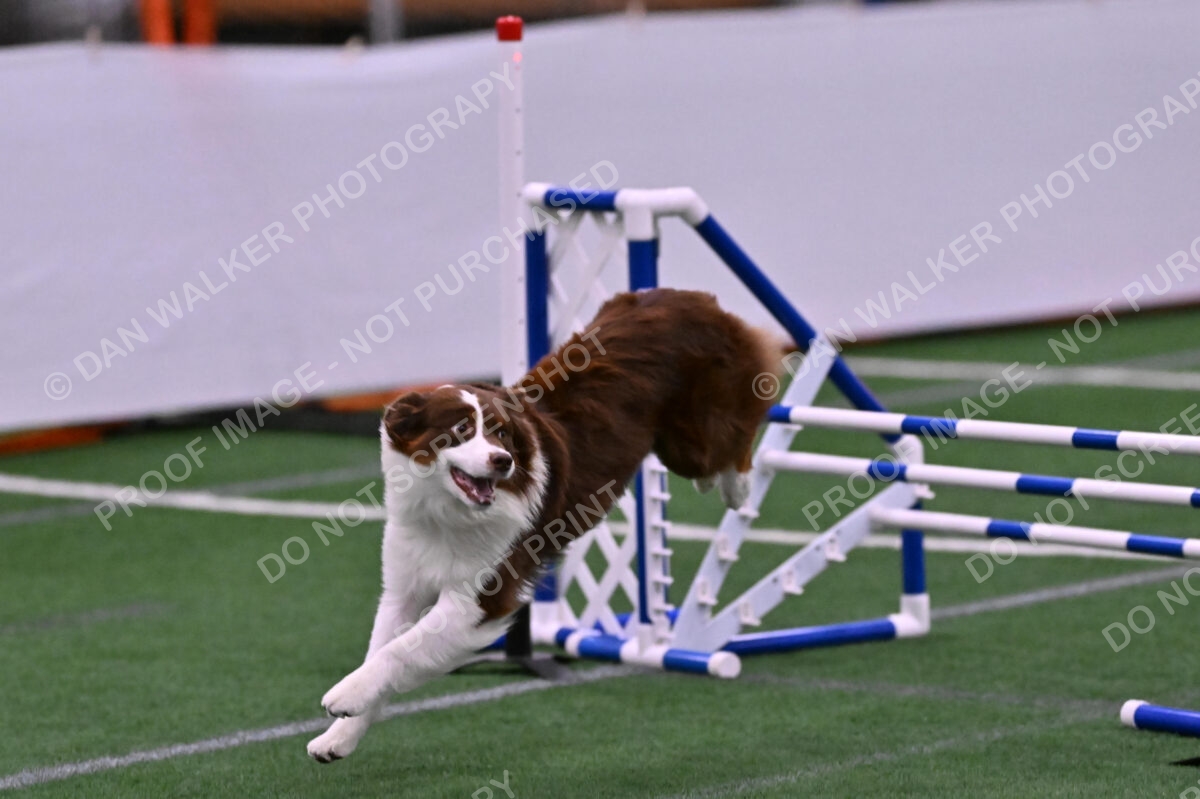 Reece-Kelly-Warner-04724