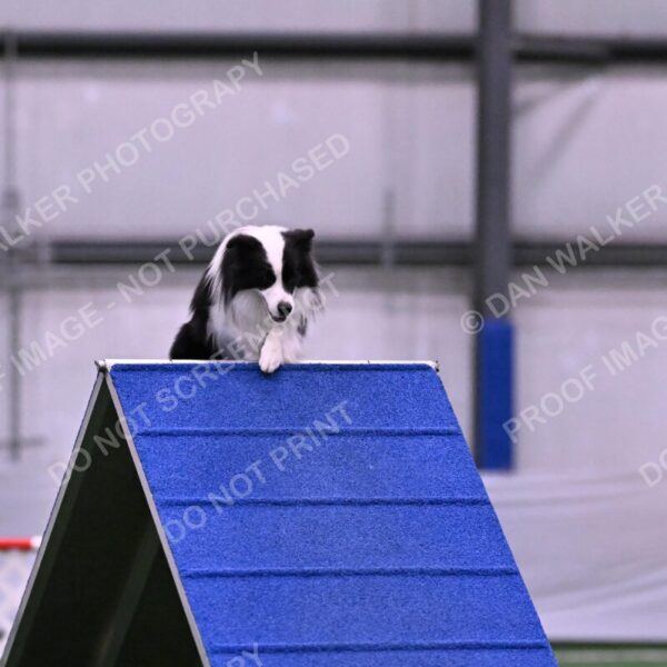 Ricki-Annette-Agostine-06791