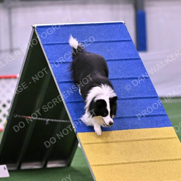 Ricki-Annette-Agostine-06797