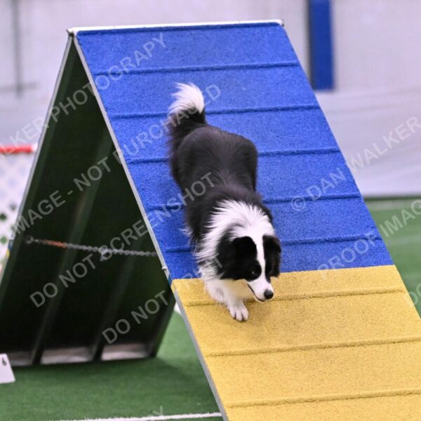 Ricki-Annette-Agostine-06799