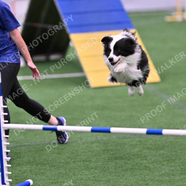 Ricki-Annette-Agostine-06800