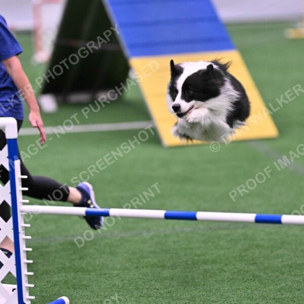 Ricki-Annette-Agostine-06801