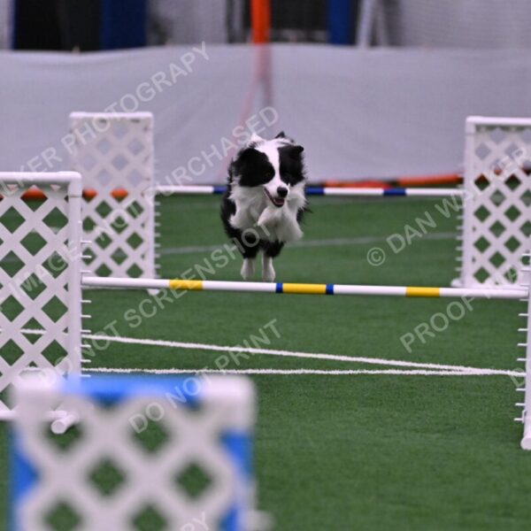 Ricki-Annette-Agostine-06811