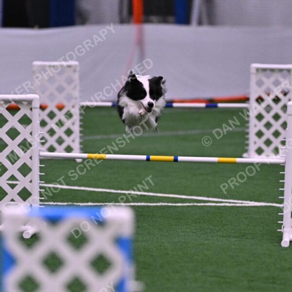 Ricki-Annette-Agostine-06812