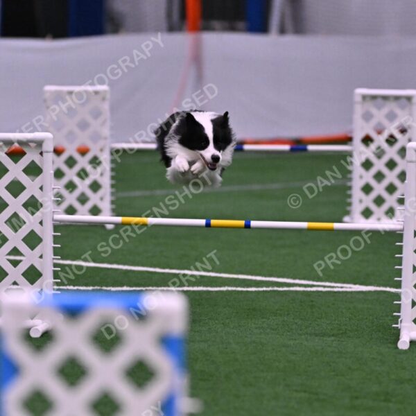 Ricki-Annette-Agostine-06813