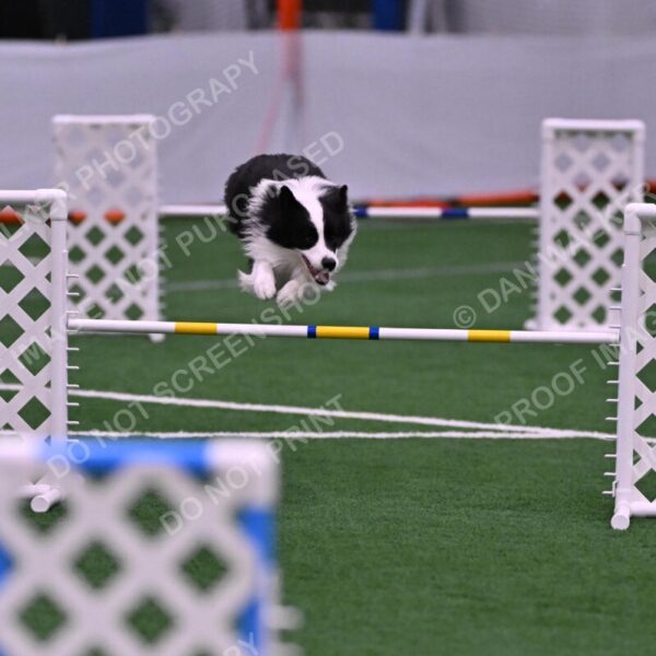 Ricki-Annette-Agostine-06814