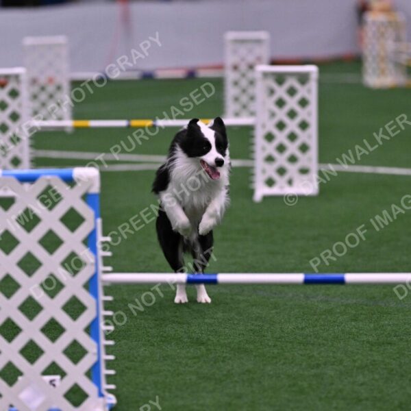 Ricki-Annette-Agostine-06816