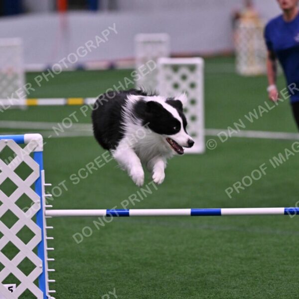 Ricki-Annette-Agostine-06821