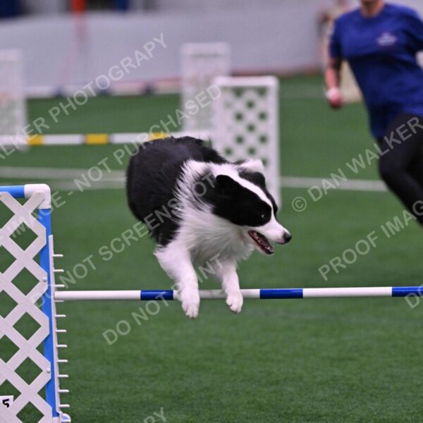 Ricki-Annette-Agostine-06822