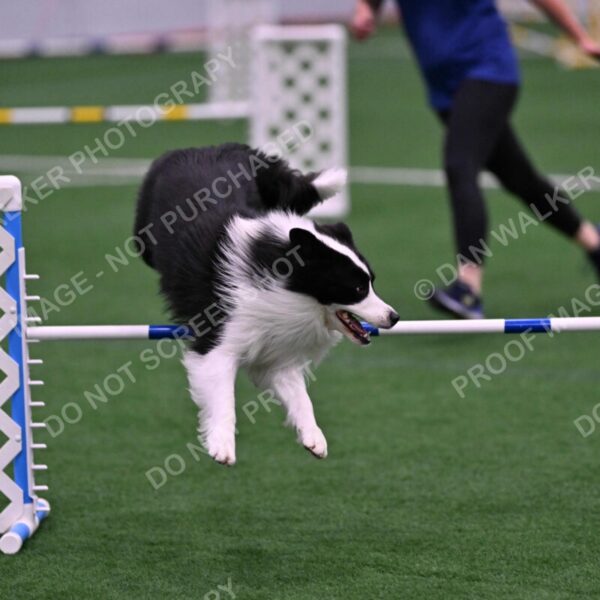 Ricki-Annette-Agostine-06823