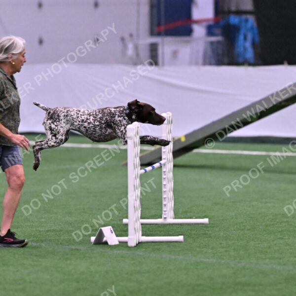 Riva-Denise-Ross-08431