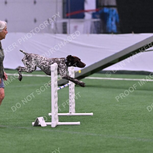 Riva-Denise-Ross-08432