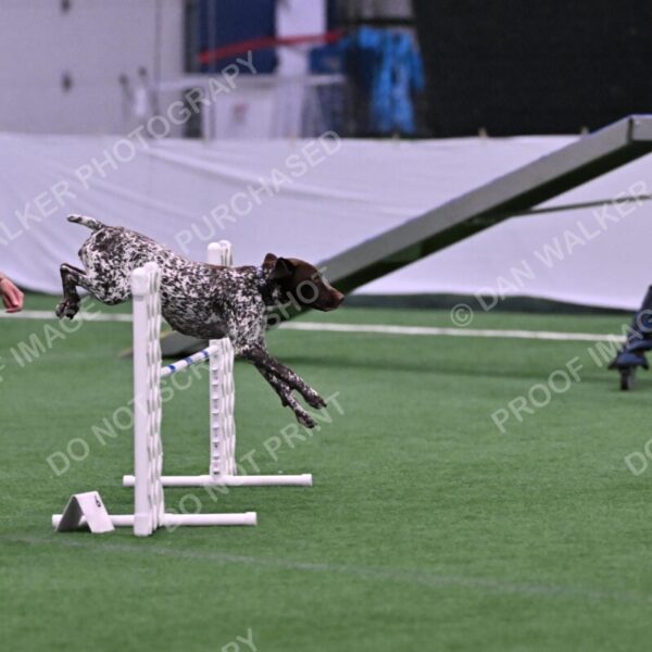 Riva-Denise-Ross-08433