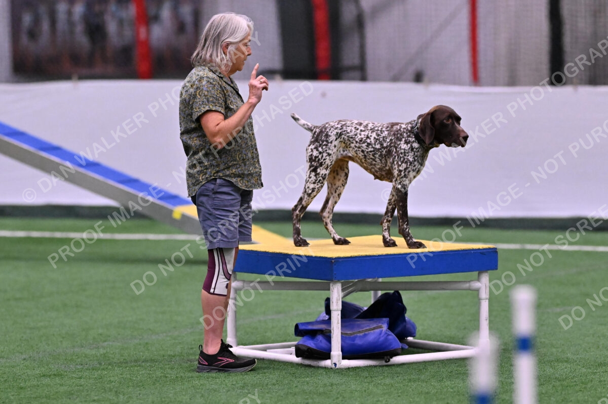 Riva-Denise-Ross-08434