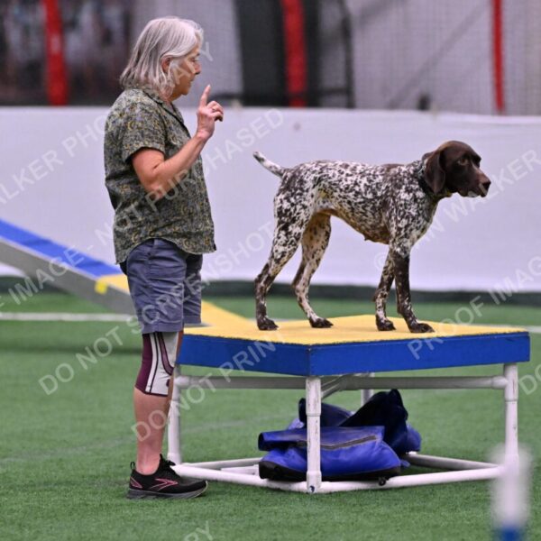 Riva-Denise-Ross-08434