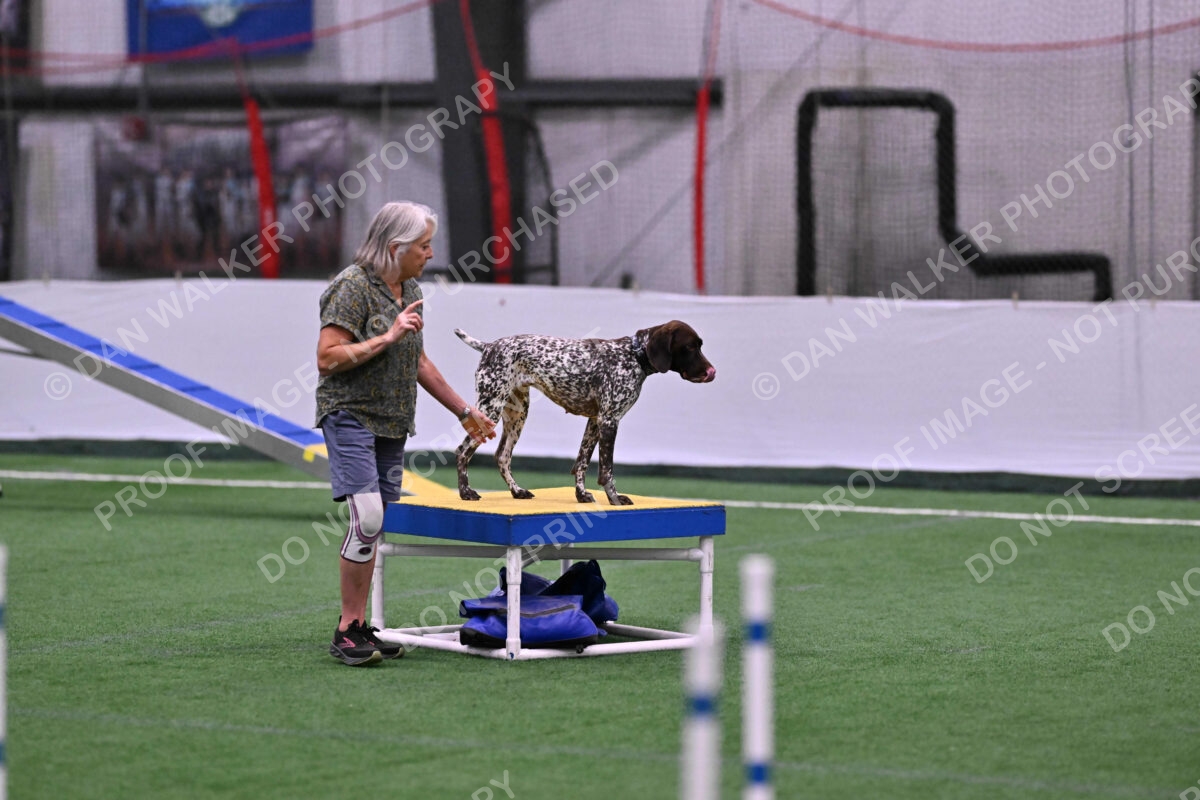 Riva-Denise-Ross-08436