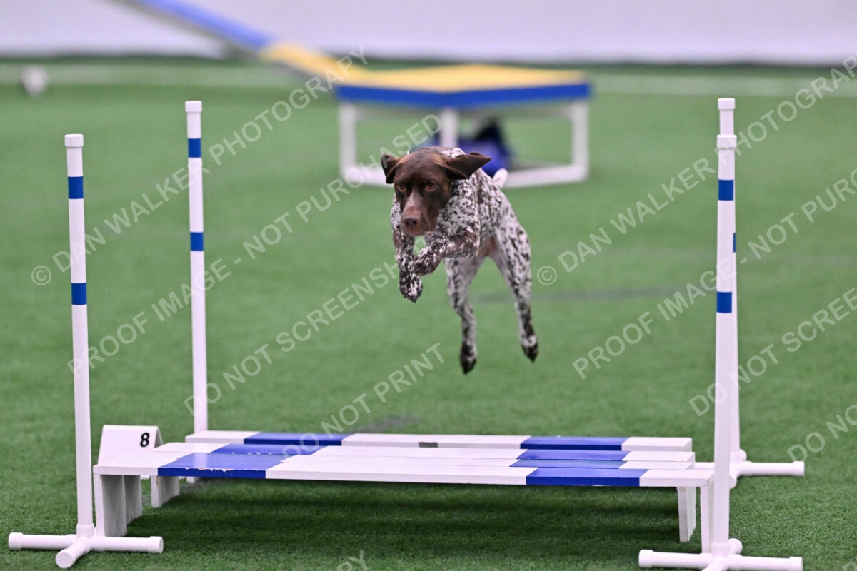 Riva-Denise-Ross-08440