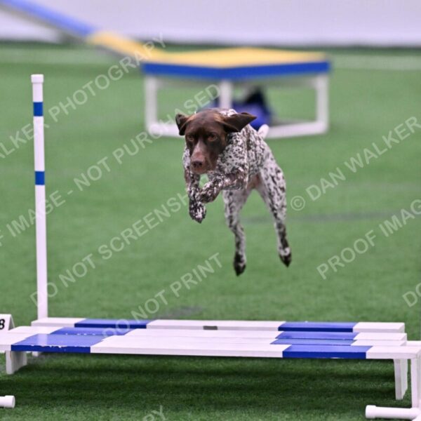 Riva-Denise-Ross-08440