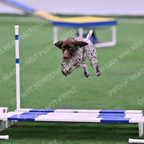 Riva-Denise-Ross-08441