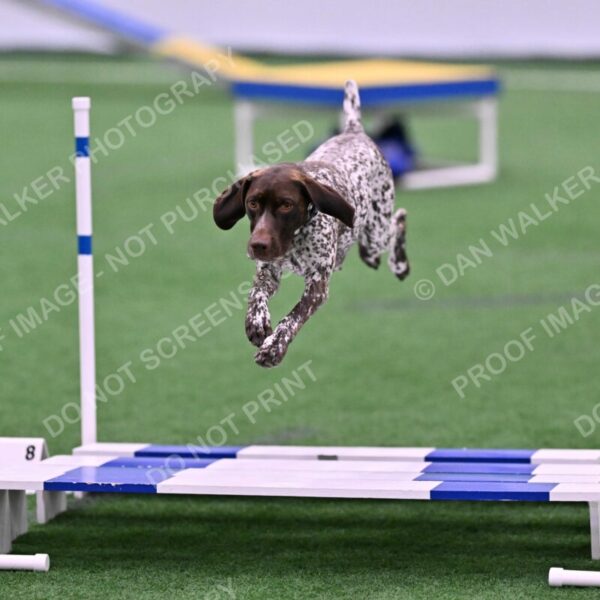 Riva-Denise-Ross-08442