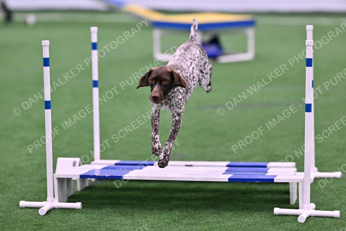 Riva-Denise-Ross-08443