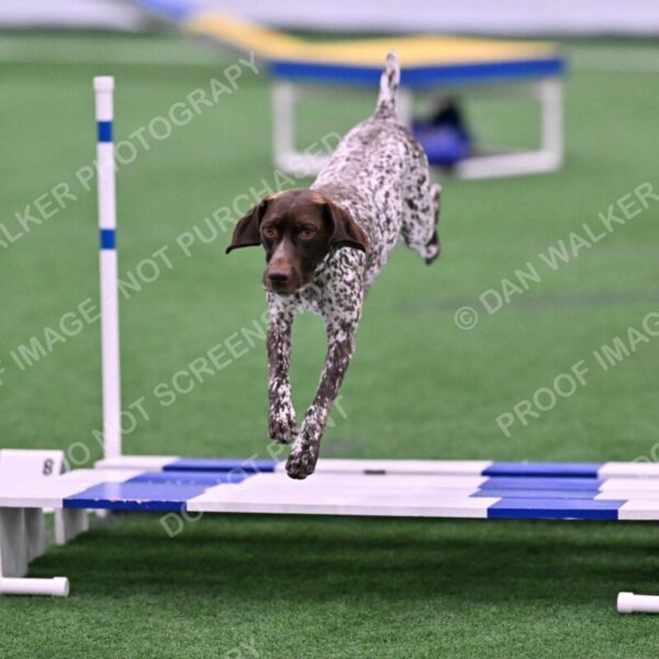 Riva-Denise-Ross-08443