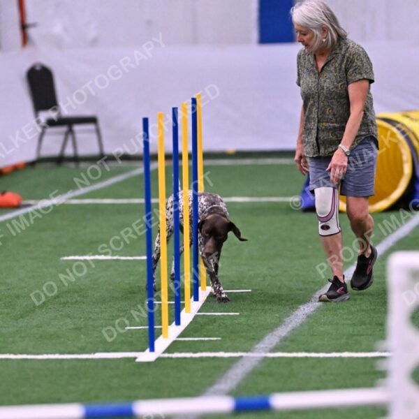 Riva-Denise-Ross-08444