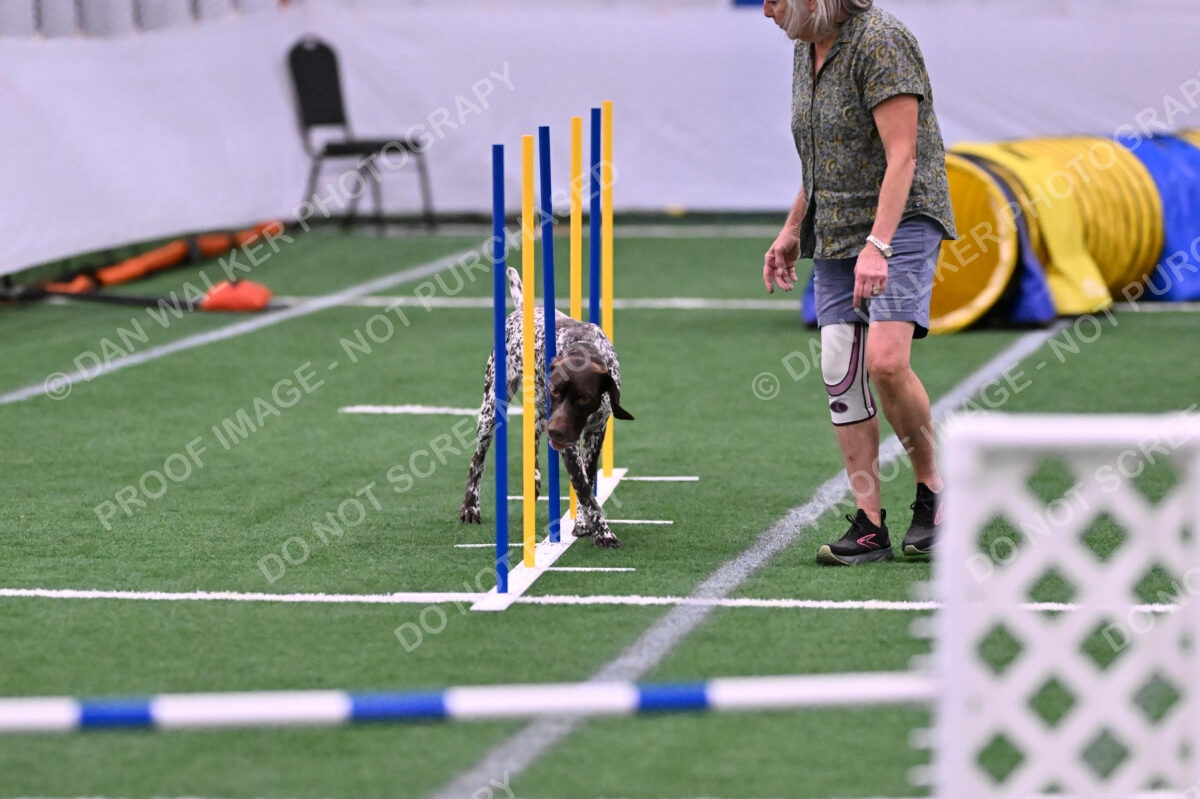 Riva-Denise-Ross-08458