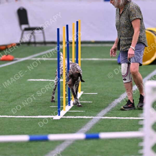 Riva-Denise-Ross-08458