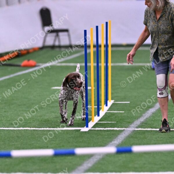 Riva-Denise-Ross-08464