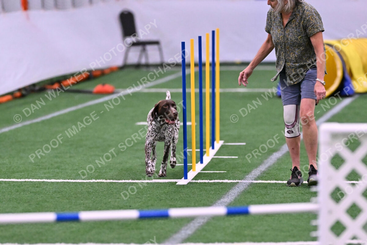 Riva-Denise-Ross-08465