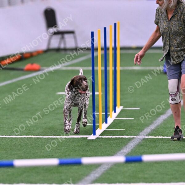 Riva-Denise-Ross-08465